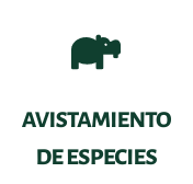 avistamiento de espe-8